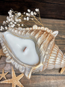 Seashell Candle