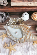 Load image into Gallery viewer, Seashell Candle
