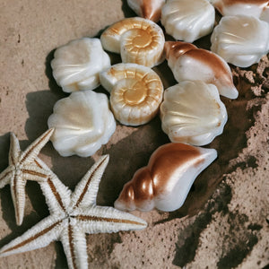 Seashell Wax Melts