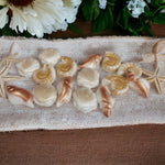 Load image into Gallery viewer, Seashell Wax Melts
