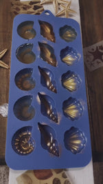 Load and play video in Gallery viewer, Seashell Wax Melts
